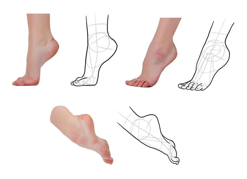 美术人体腿部教学视频,脚部结构绘画教程