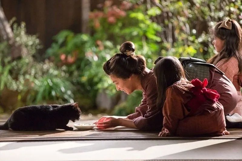 夏目漱石最经典的书,夏目漱石的心理疾病