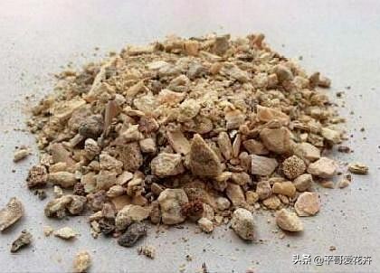 垃圾堆里捡回一盆花,垃圾变废为宝怎么养花