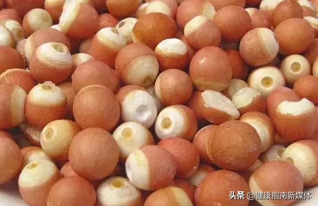 食物人参,食物界中的人生你知道吗