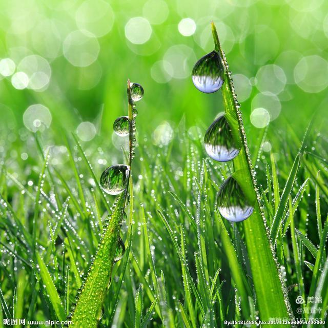 高五幸,高五幸诗词