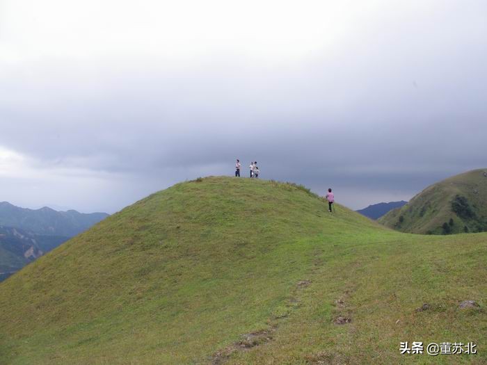 高州十强镇排名,百强市排名2020茂名