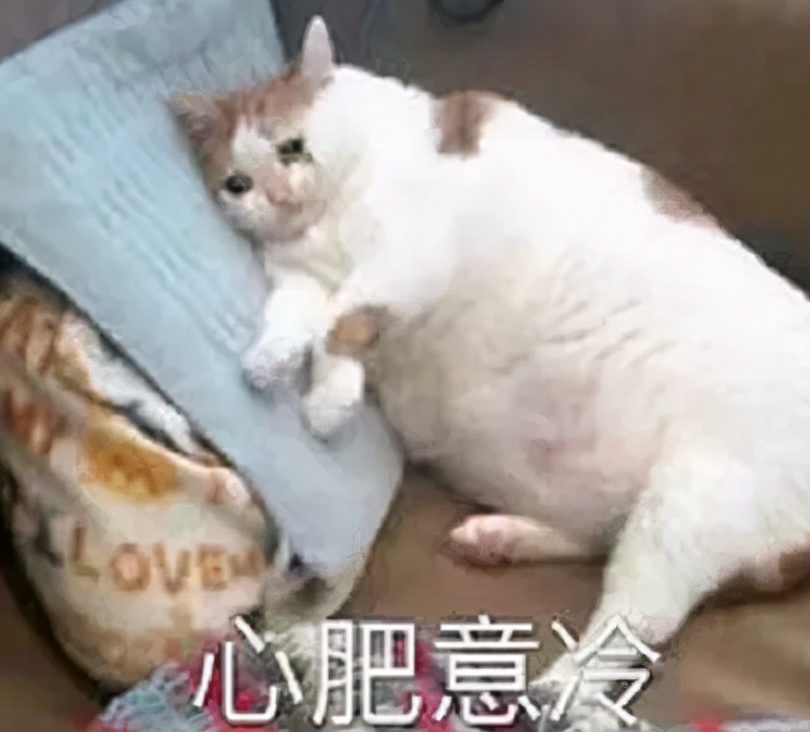 贴秋膘长胖,不贴秋膘减肥操