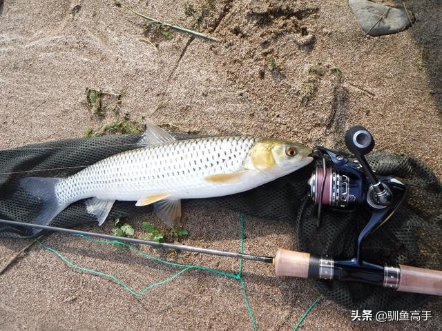 3月份浅水路亚,百闻不如一见美景视频