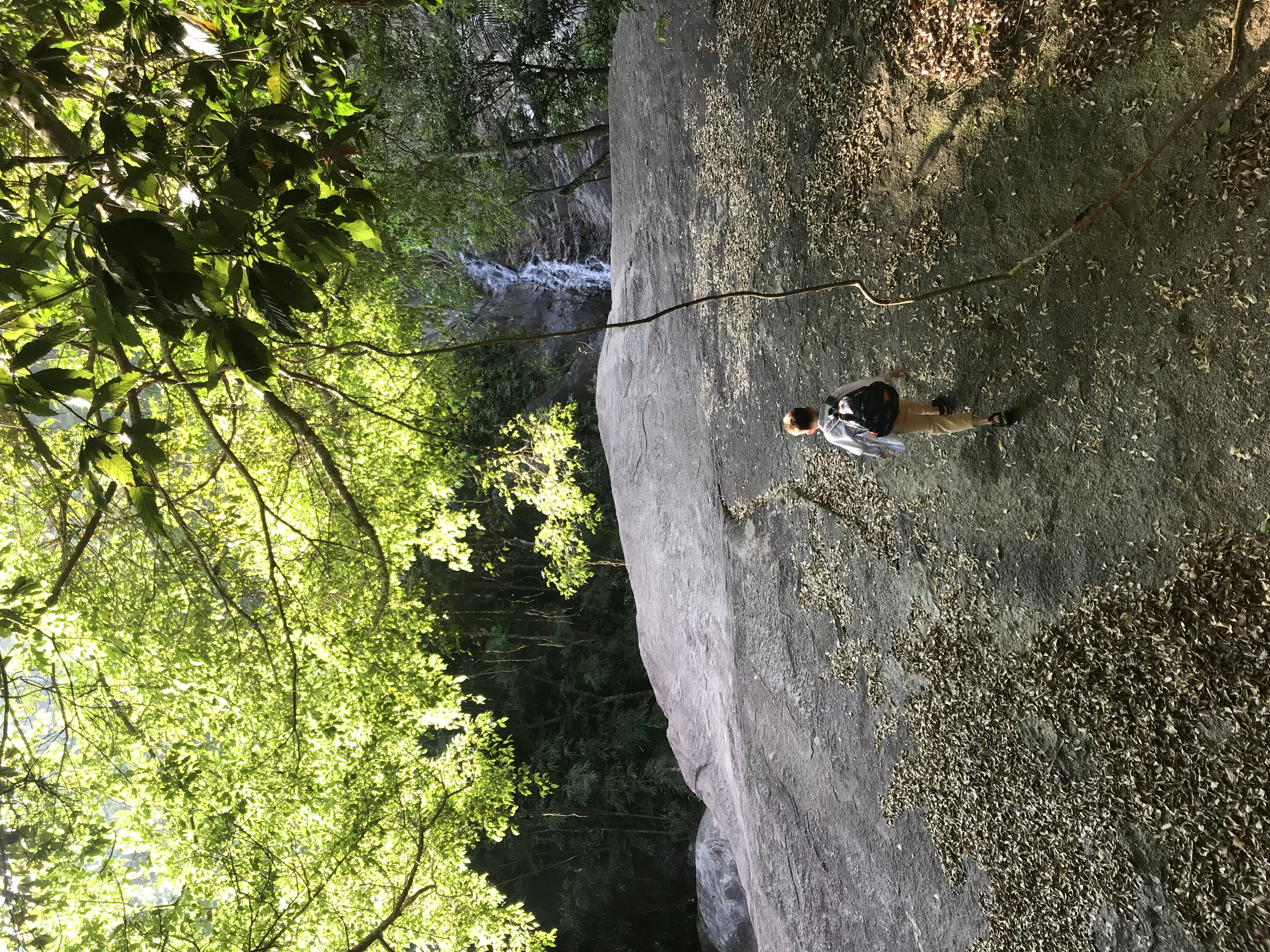 1500年的“母生”藏于此，这里集海南珍稀名木，神奇霸王岭