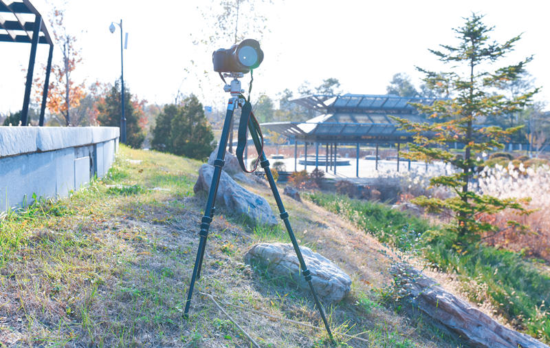 除了稳,选材和颜值拿捏到位-佳鑫悦AR05CII神驹三脚架