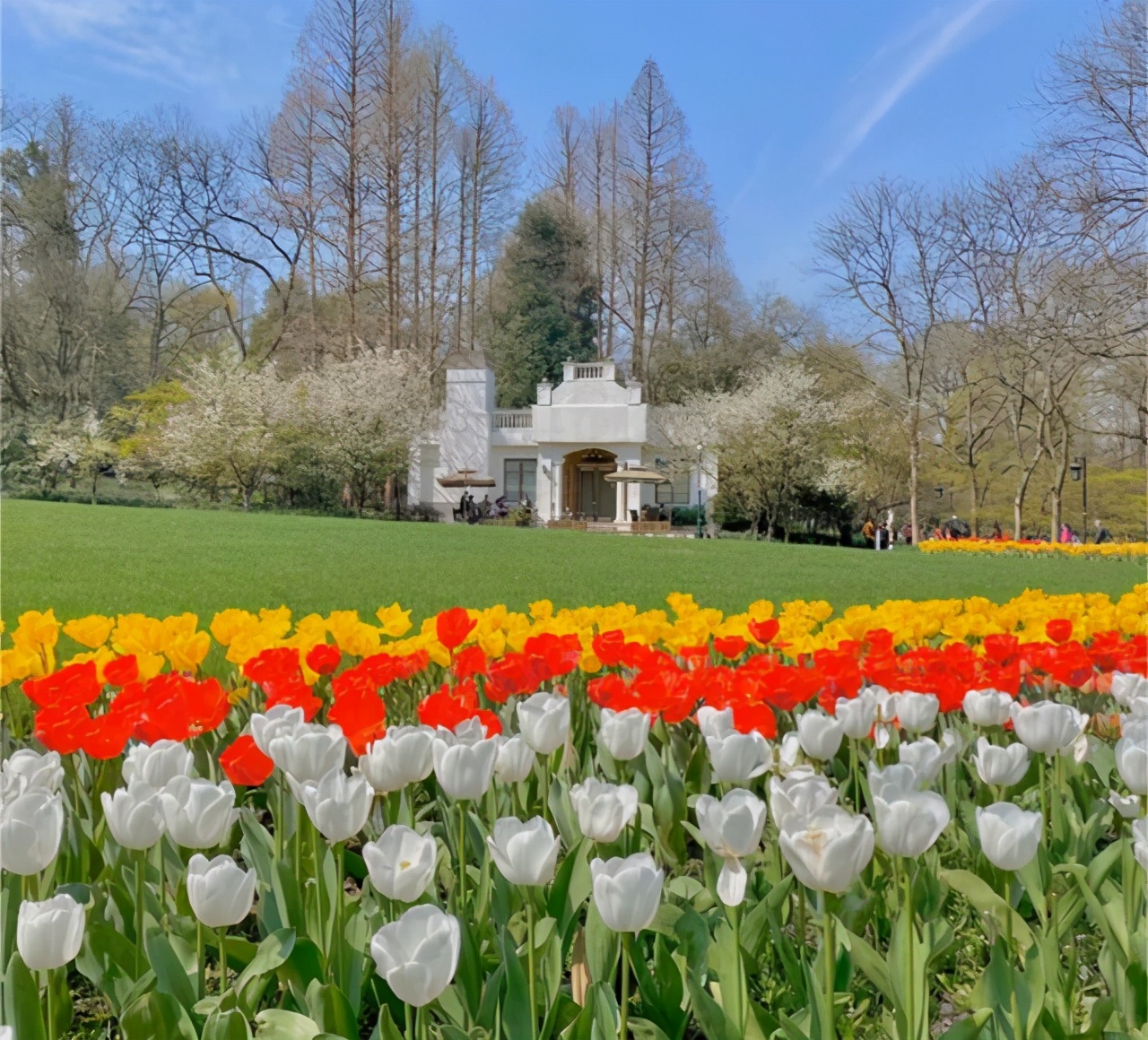 浙江大型森林公园,杭州免费超级大公园