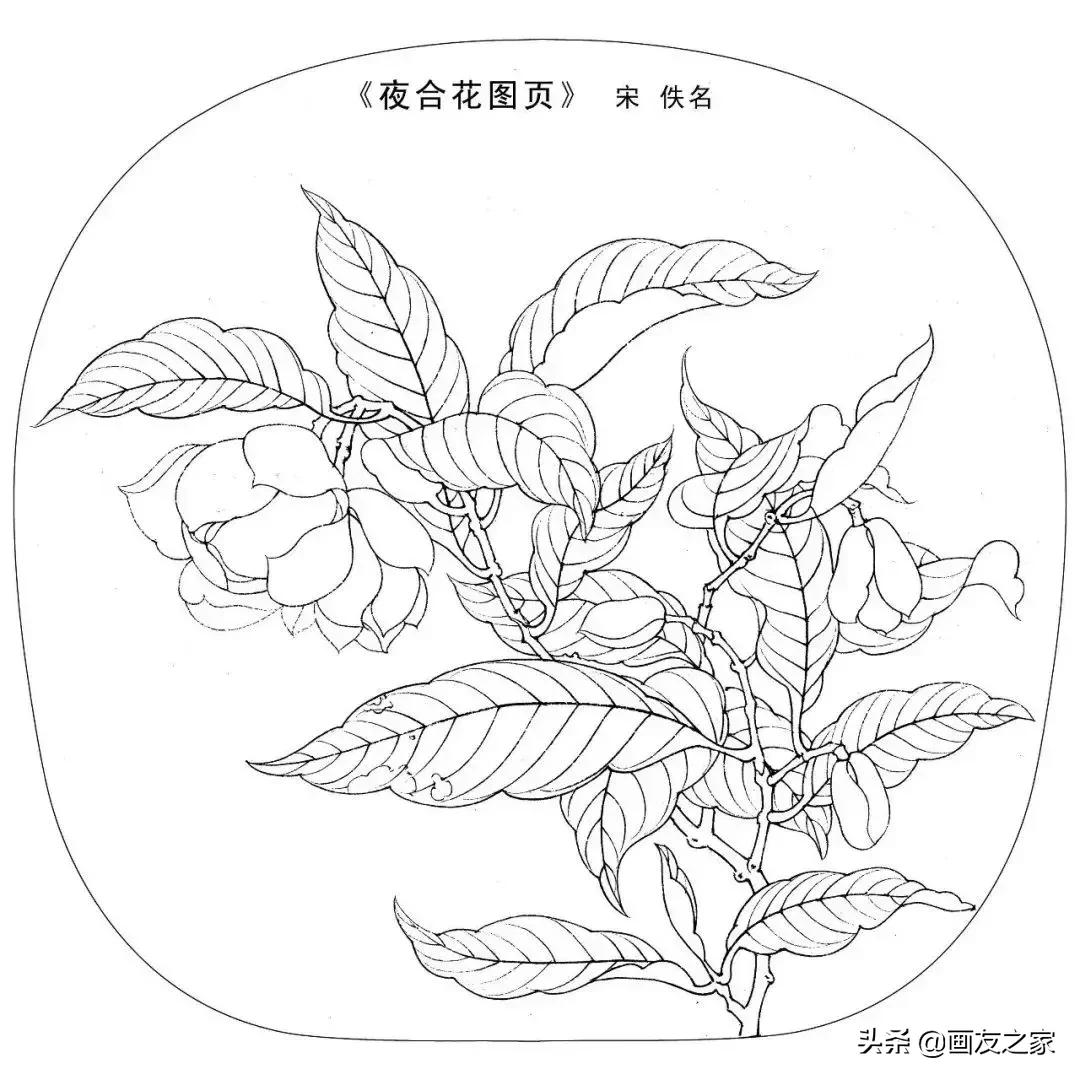 宋花鸟工笔画高清大图临摹过程,宋画工笔画花卉上色教程