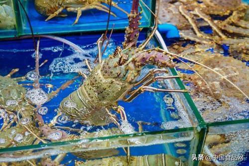 到日照吃海鲜到哪个小渔村最便宜,日照旅游吃海鲜