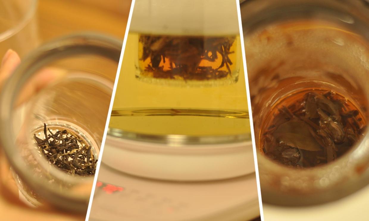 小熊养生壶全自动多功能家用小型,养生壶小熊机械款