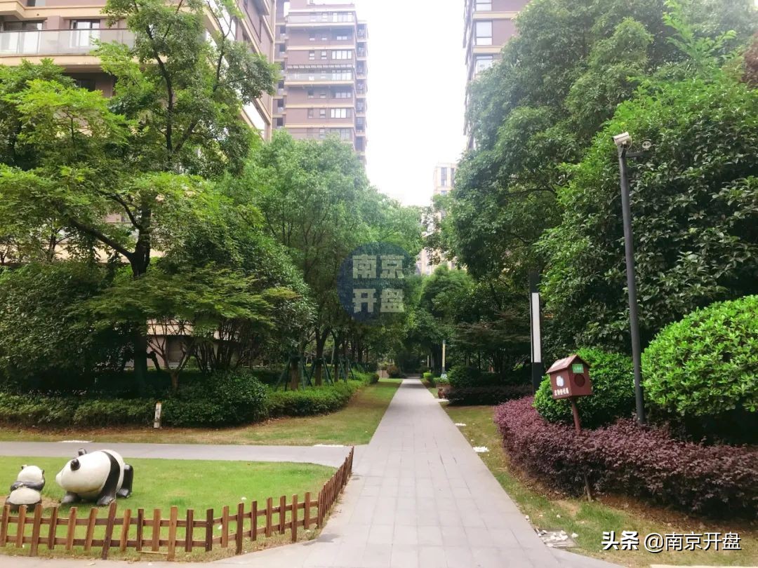 一套房产以516万拍卖成交,一套房子6000万