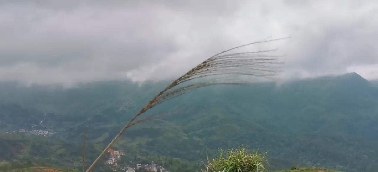 面对绝境时怎样求生存,身陷绝境如何应对