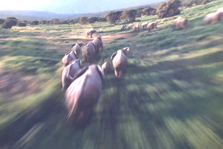 上海迪士尼之旅极速光轮,上海迪士尼项目七个小矮人