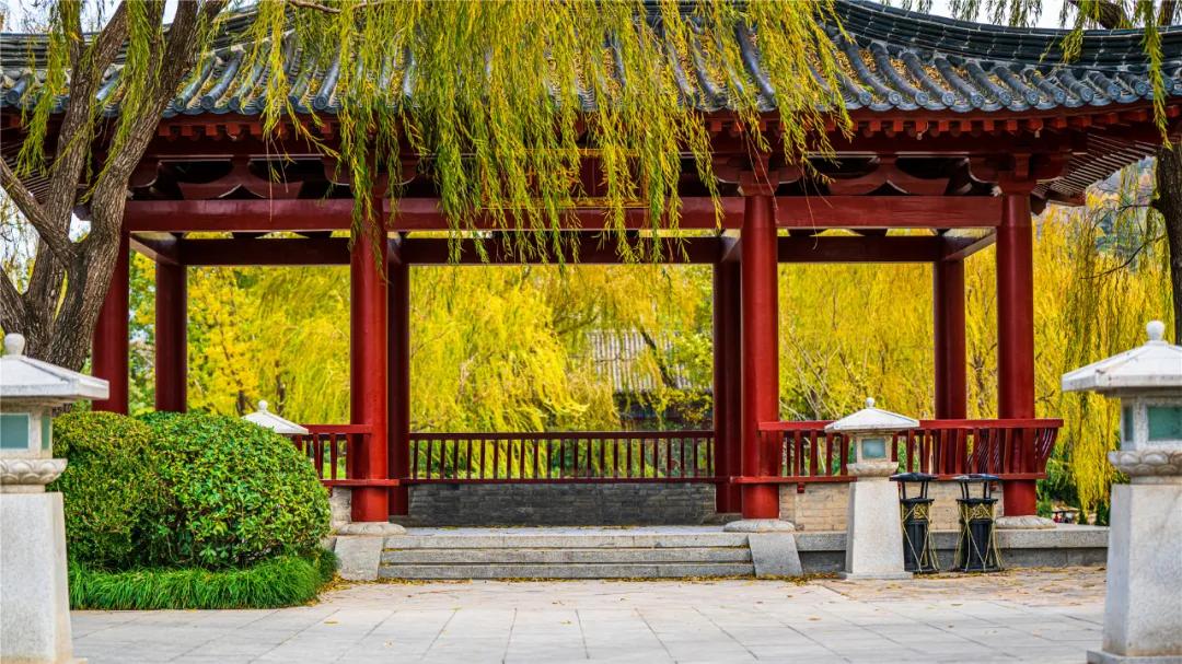 华清宫的初冬美景，惊艳了谁的时光？