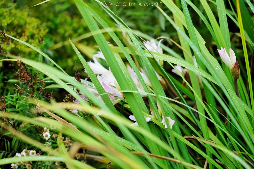 世界最美监狱,号称世界最美监狱