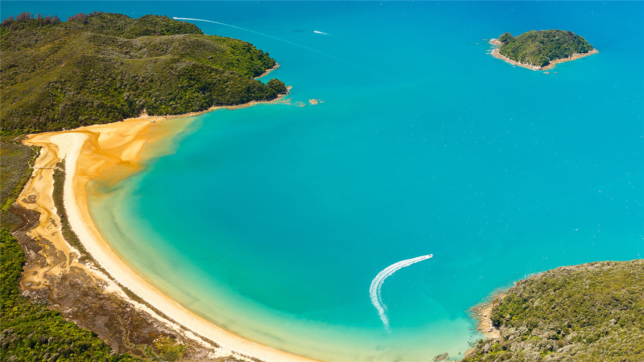 云淡风轻听琴语,静思禅慧洗俗尘