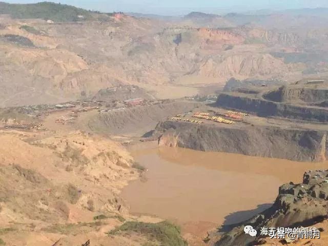 麻清珍｜|以柳易播兄弟情深