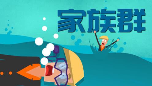 被微信里神圣的“家族群”骚扰，红包、养生贴、表情包哪个能忍？