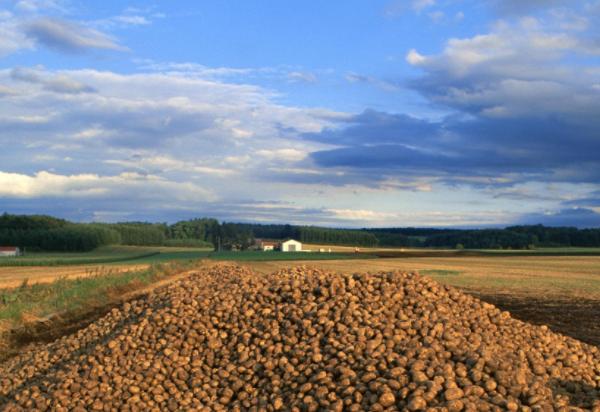 土地承包证一亩地可以贷多少钱,土地证可以贷款吗一般可以贷多少
