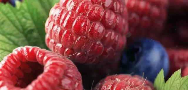 c4d入门系统教程,从零开始c4d入门教程