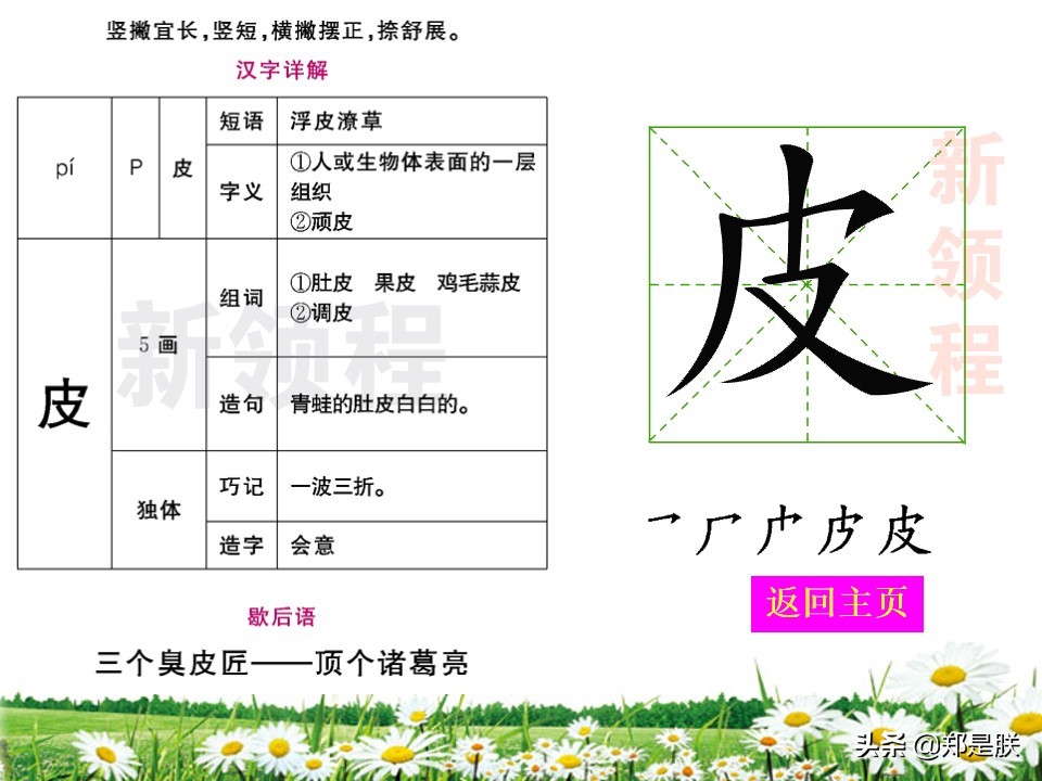 二年级小蝌蚪找妈妈诵读,二年级语文第1课小蝌蚪找妈妈
