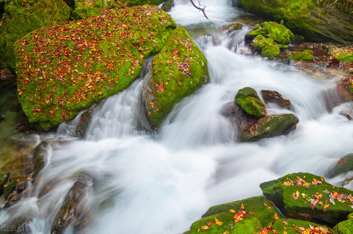 神农架攻略,神农架宰客