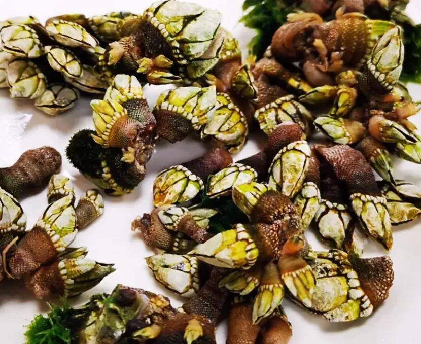 珠海哪里海鲜便宜好吃,珠海海鲜必吃榜