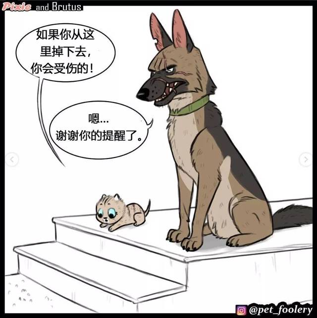 这反差萌也太有爱了，实力宠喵没商量！