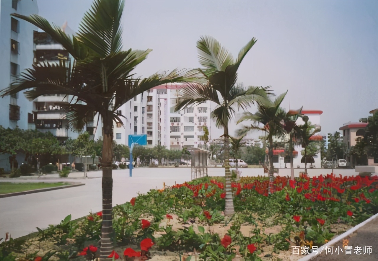 广州市黄埔技校一年学费多少钱,广州市有护理专业的技校有哪些