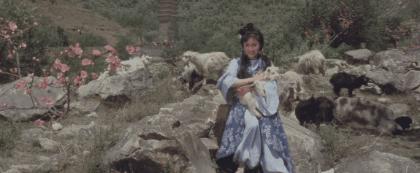 从红极一时到销声匿迹,丁岚现状图片