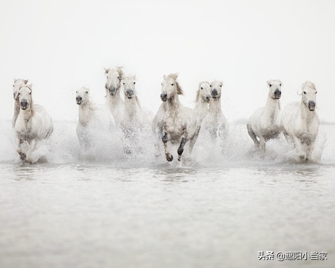 悦嗨家居装饰画,时尚百搭的装饰画推荐