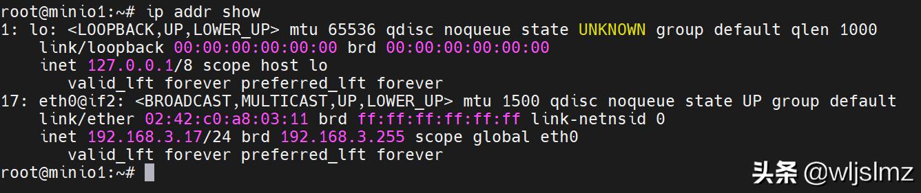 linux系统终端怎么查看自己ip,linux如何查看自动分配的ip地址