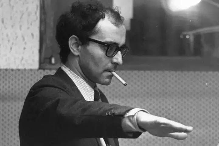 法国新浪潮安娜,安娜·卡里娜法国新浪潮女演员