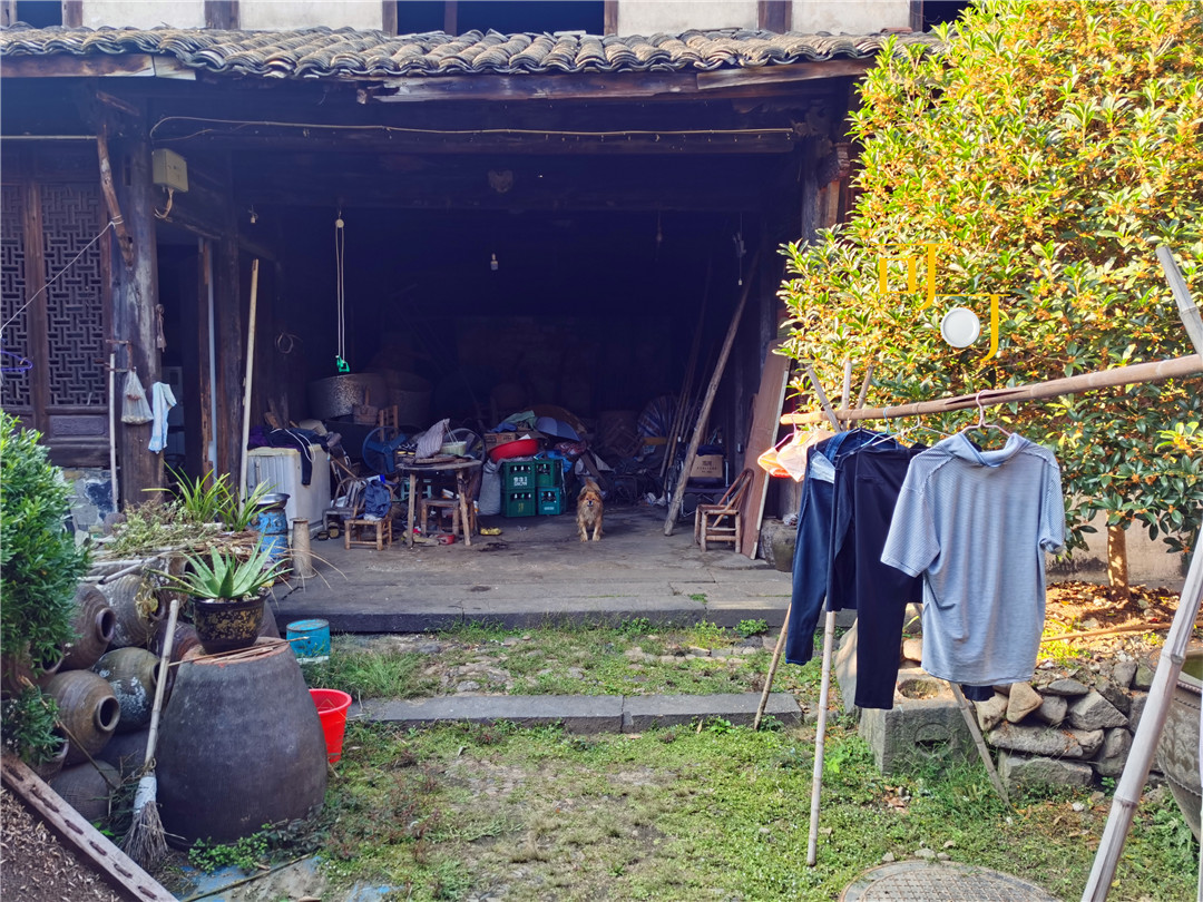 嵊州崇仁古镇夜宵,嵊州崇仁古镇一日游