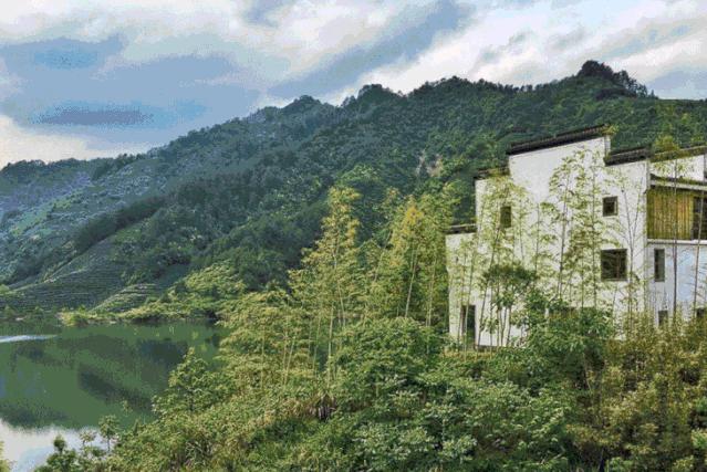 武夷山德懋堂|270万起旅居武夷山临溪别墅，遍访先贤遗迹！看云海、逛古村、品香茗，每天都生活在山水画中