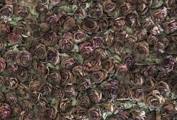 盘点blackpink又丑又贵衣服,盘点blackpink的贵衣服