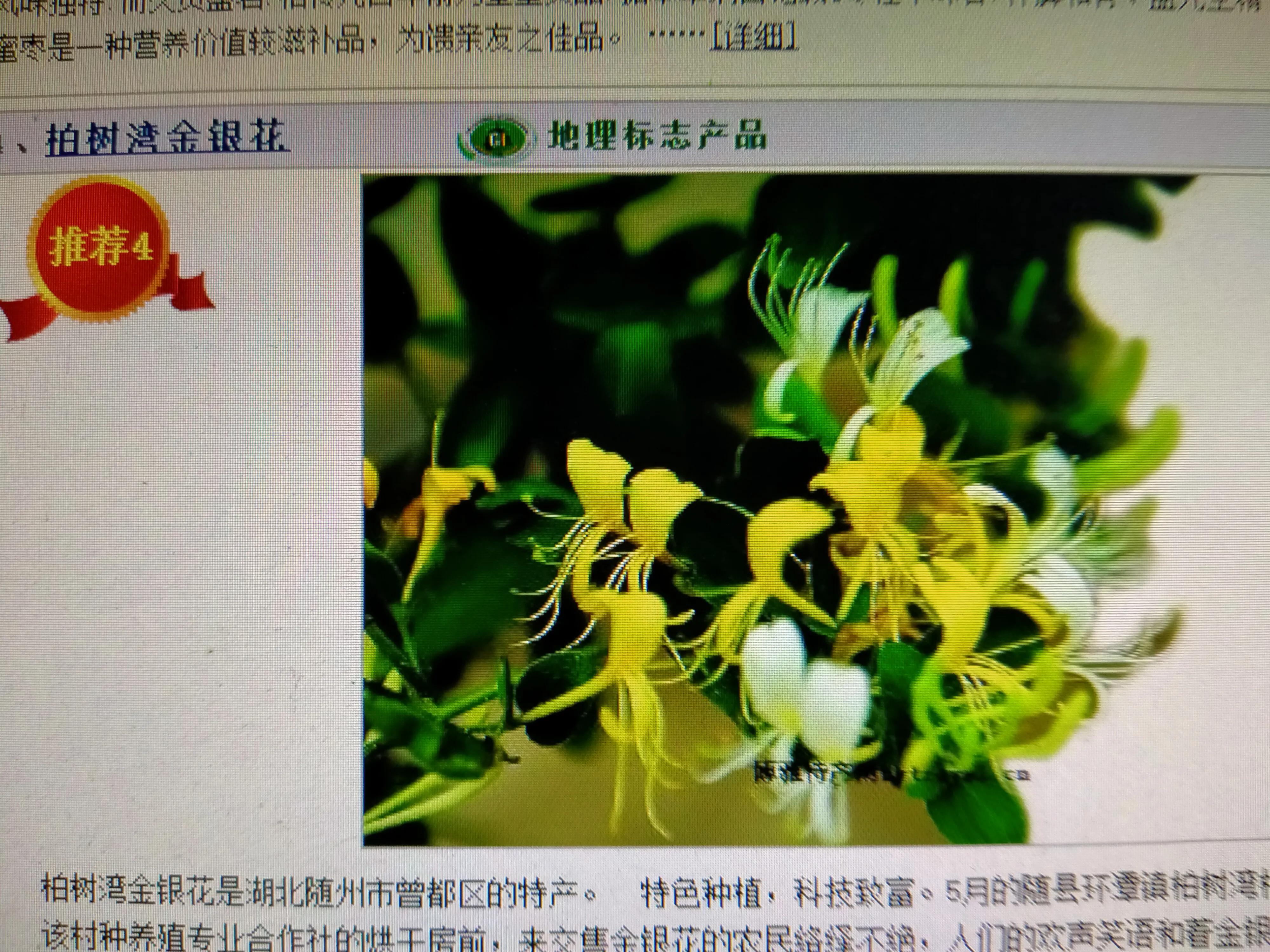 欢迎回到湖北随州文案,欢迎回到湖北随州