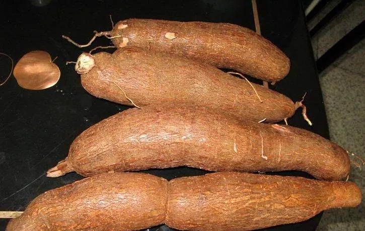 25种常见有毒的花草树木,警惕50种有毒植物