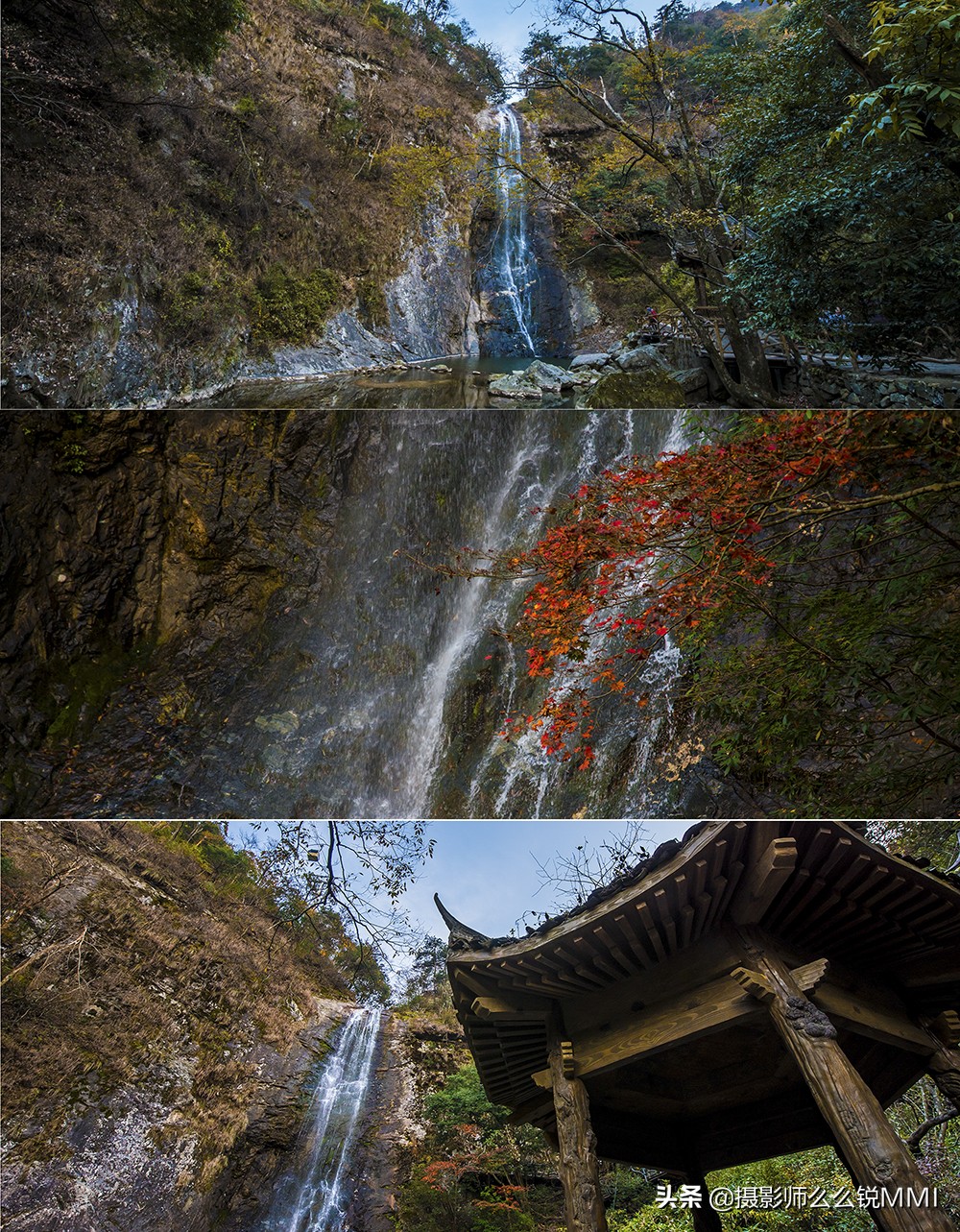 皖西大别山原始森林,华东最后一座原始森林