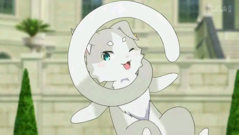 最可爱的动漫猫咪,云吸猫小猫视频