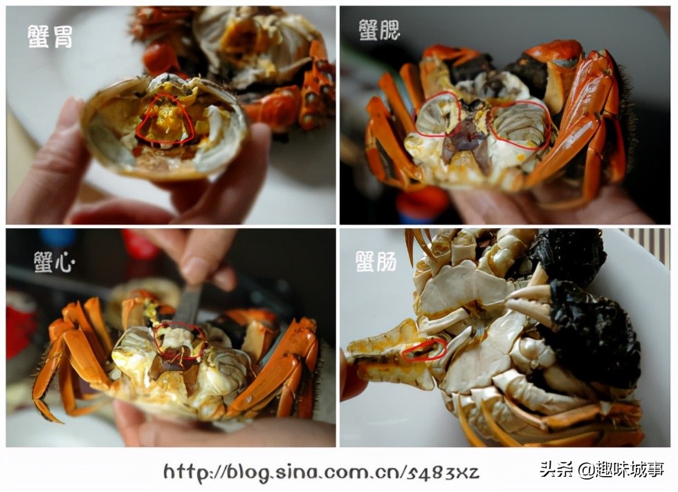螃蟹煮熟的时候怎么处理比较干净,煮熟的螃蟹应该怎么处理才能吃