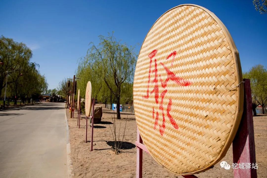 榆林芹河旅游,榆阳区周末游玩推荐