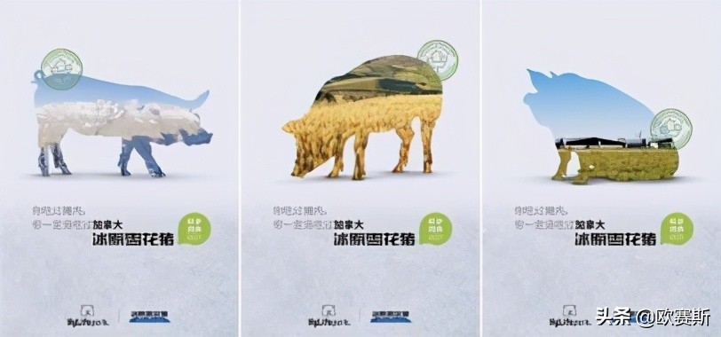 欧赛斯的产品怎么样,欧赛斯超级案例详解