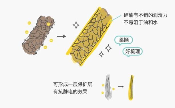 洗发水有什么不同，该如何选择？（列举几种不同品牌的使用体验）