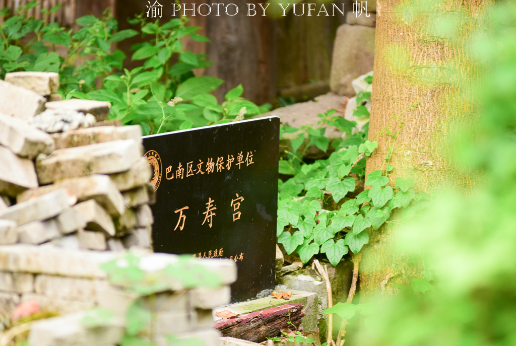 70年代的重庆湖广会馆,重庆最古老的建筑