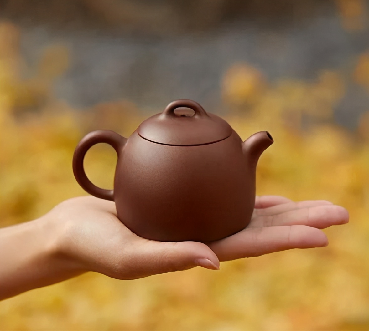 藏在“壶之王者”背后的千年密码