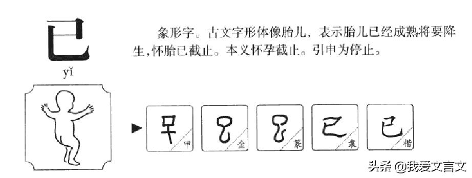 经典文言文赏析|愚人煮蜜
