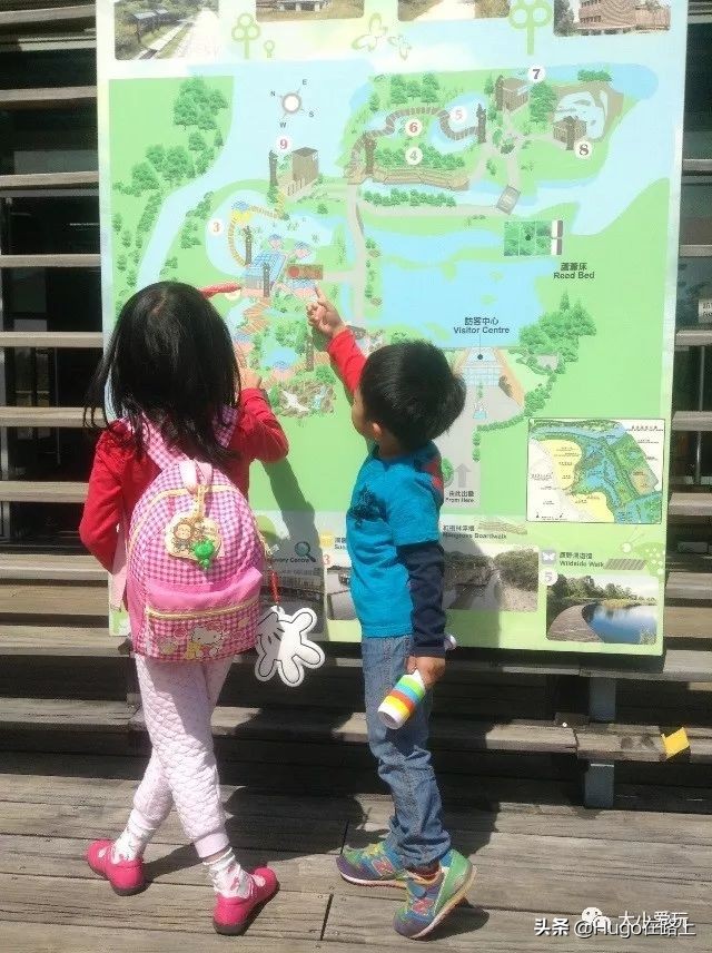 去香港亲子旅行攻略路线图片,香港亲子游最佳路线图