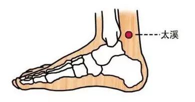 艾灸养生常灸这十大穴位,艾灸可以灸足底生殖穴吗