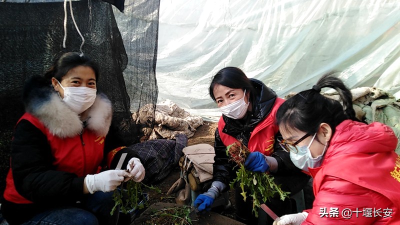 看不清你眼角是否有泪花只知道号令既出使命必达